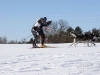 normal_125428[1]